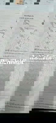 Chính chủ gửi bán đất Tân Văn, Lâm Hà chỉ 300 triệu/sào