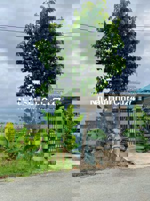 CHÍNH CHỦ NGỘP BANK BÁN GẤP 90M2, GIAO NGUYỄN HỮU TRÍ giá 1.3 tỷ