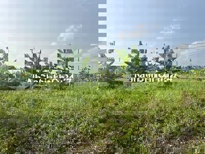 Nhỉnh 3tỷ - 60m² đất  Kiêu Kỵ, Gia Lâm - cách Vincom 1 phút chạy xe!