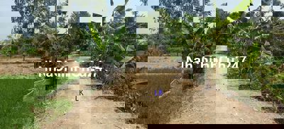 🔥Bán đất lúa đã lên líp🔥13.000m² (Mặt tiền 20m) 🔰Đường đá xe ba gác