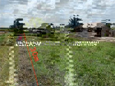 cần bán 1000m tở 30 Phú Đông lộ đá mi xe máy vào đất có 30m mt lộ