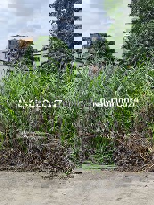 Bán 3 lô đất F0 SHR  Trung Chánh HM 5*20m đg xe tải  Giá 3tỷ800tr