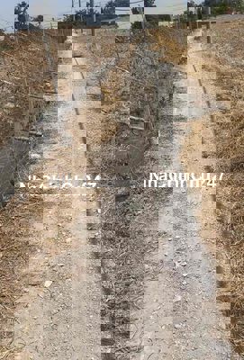 1000mđất tân nhựt Bình Chánh xe 3gác vivu