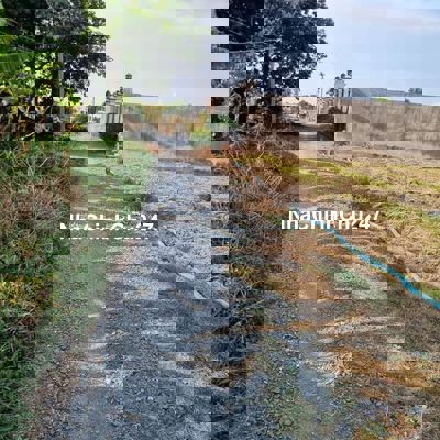 Đất vườn 520m2 lên thổ cư được