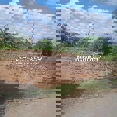 CHÍNH CHỦ BÁN ĐẤT GẦN ĐƯỜNG NGUYỄN HỮU TRÍ, GIÁ 1TỶ53,SHR, DT 135M2