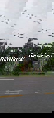 Cần bán gấp lô đất rộng 300m2 quy hoạch thổ cư giá rẻ nhất Quận 9