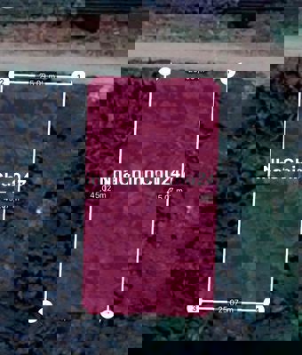 Chủ Ngộp Hạ Giá Bán Gấp Lô Đất Lúa Đường Xe Container XTT HM