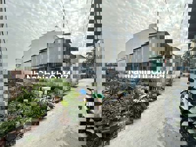 CC BÁN ĐẤT THỔ CƯ GẦN VX AN LẠC,SHR,GIÁ 1TỶ23,DT 148M2,GẦN CHỢ TÂN TÚC