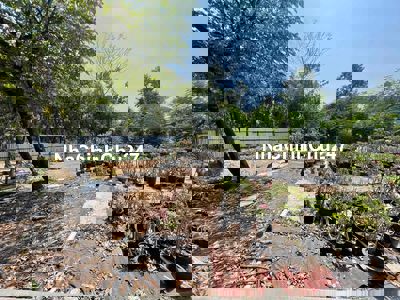 Đất trống có lối đi riêng cho xe tải