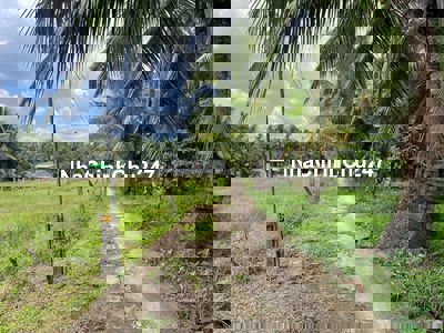 Chủ cần bán gấp