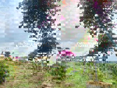 Đất ngay khu dân cư 1000m khu farm thanh long hoa giấy