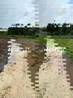 2 Sào Nông Nghiệp, Đường Bê tông tới đất, Giáp Suối Thôn 4, Cư Êbur