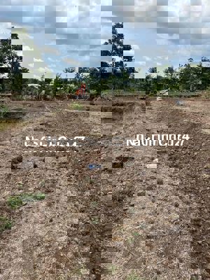 Đất Thôn 4, Cư Êbur - Hẻm Đường Phạm Ngũ Lão nối dài + Tĩnh Lộ 5 (Phườ