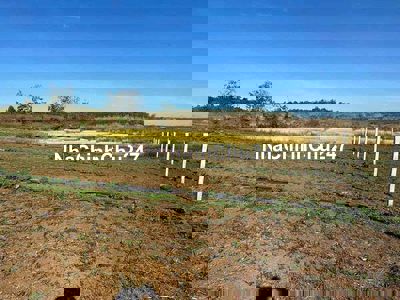 Chỉ 185Triệu - Sở hữu ngay Bìa hồng 500mv - Cách Phố BMT ~ 9Km thuộc T