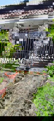 Nhà bán: 4,2x28,2m, 1T,1L, SHR, chính chủ.