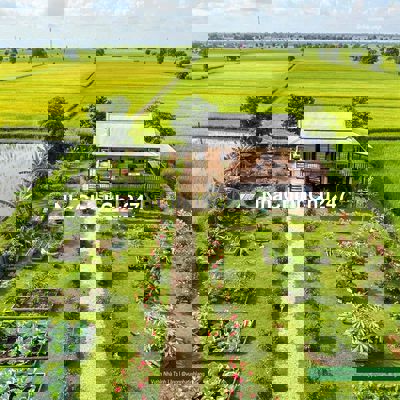 BÁN ĐẤT 500mv/1000mv NÔNG NGHIỆP THÔN 4/THÔN 8 - CƯ ÊBUR