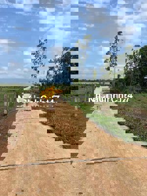 3.5 Sào - 54 Mét Mặt tiền Bám Đường Bê tông như hình, Ngay khu dân cư,