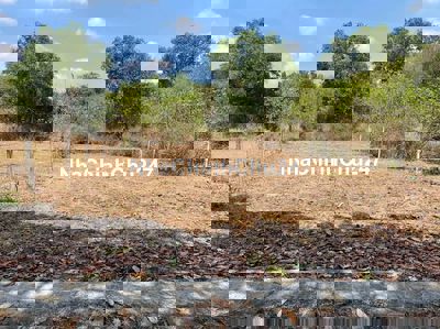 CHÍNH CHỦ GỬI BÁN LÔ ĐẤT 500M² TẠI XÃ THÁI MỸ – CỦ CHI ĐANG NGỘP