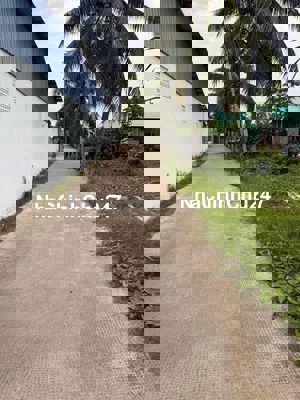 Bán 690 m2 lúa đường xe tải đối diện công ty, gần UBND, trường học,