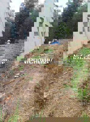 Chính chủ cần bán gấp đất sổ đỏ riêng, ngay KDC, ngay UBND xã...