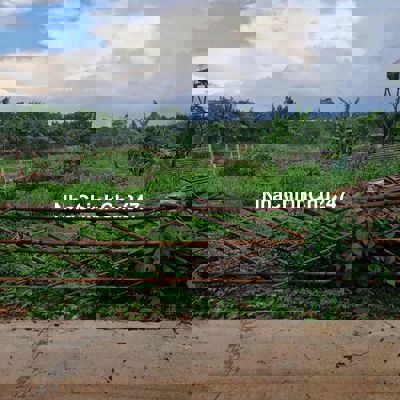 Lô đất nông nghiệp 327 Ymoan làm nhà vườn nghĩ dưỡng, sổ riêngcó đường