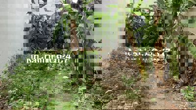 ĐẤT 5x15m HẺM XE HƠI, Q7 – Giá 5,.tỷ