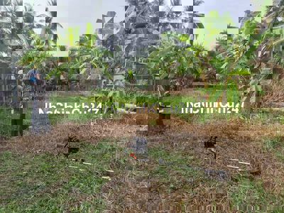 Lộ Thầy Cai cách ĐL Đông Tây khoảng 400m, Khu đông dân, xe cộ qua lại