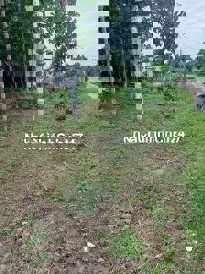 Tôi cần bán lô đất mặt tiền đường bê tông