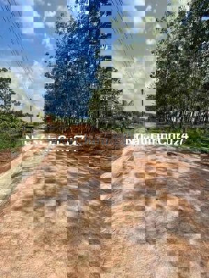 Chủ gửi bán Gấp lô đất hơn 1120m2 đối diện khu du lịch giá 290 triệu