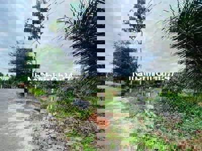 Bán Đất Vườn ở Chơn Thành 2000m2 Giá ngộp 450 triệu, đường xe oto tải