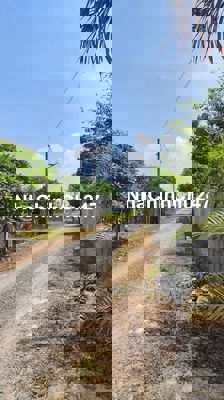 Chính chủ bán 519m2 nhà vườn. SHR,NH cho vay 70%