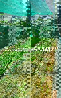 CHÍNH CHỦ CẦN BÁN ĐẤT PHƯỜNG AN BÌNH, 80M2 GIÁ TỐT.