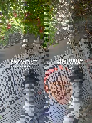 🎯 BÁN NHÀ SIÊU RẺ – DIỆN TÍCH KHỦNG – CHÍNH CHỦ XÂY Ở!