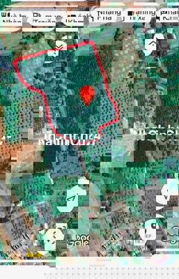 CHÍNH CHỦ CẦN BÁN LÔ ĐẤT DIỆN TÍCH LỚN TẠI XÃ SUỐI TIÊN, HUYỆN DIÊ