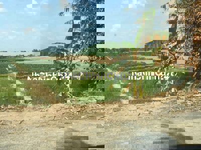 ĐẤT GẦN UBND PHƯỜNG THANH ĐỨC .ĐƯỜNG NHỰA 5T .CHÍNH CHỦ BÁN