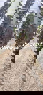 Chính chủ bán gấp đất khu văn hải