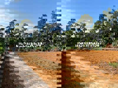 Bán lô đất 119,7m2 có 100m2 thổ cư chính chủ