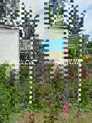 Bán đất Tân Hiệp, Phú Giáo chính chủ