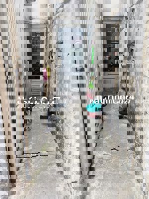 Chính chủ bán nhà