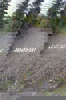 CHÍNH CHỦ ĐẤT RỘNG HƠN 1800M² – NỞ HẬU ĐẸP –  BẾN LỨC, LONG AN