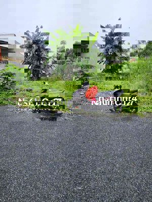 Chính chủ cấn bán gắp lô đất 200m2 thổ, KDC Trường An, P8, Vĩnh Long.