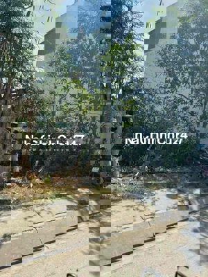 🎉🎉LÊN SÓNG LÔ ĐẤT - MẶT TIỀN NHỰA BÀ ĐIỂM 4, HÓC MÔN - CHỦ GỬI