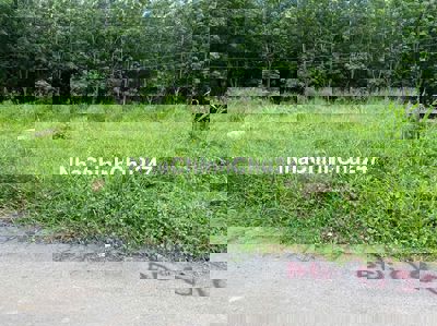 cần bán dất hòa lợi bến cát bình dương, chinh chủ