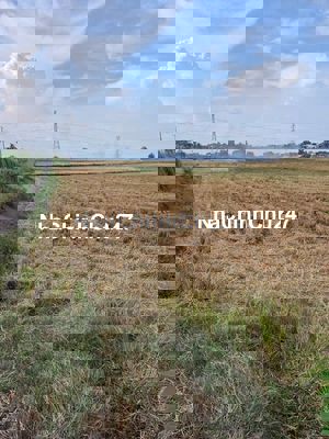 TÌM ĐÂU ĐỂ MỞ XƯỞNG HOẶC PHÂN LÔ BÁN NỀN Ở ĐÂY CÓ ĐẤT CHÍNH CHỦ