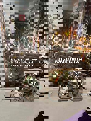 Chính chủ bán Căn hộ Block A Ehome5