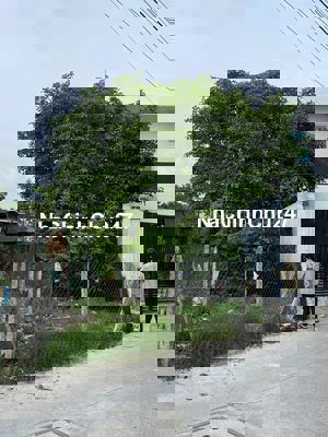 Đất Tân Hiệp Hóc Môn, khu đẹp nhất hóc môn, Chính chủ, sổ hồng rõ ràng