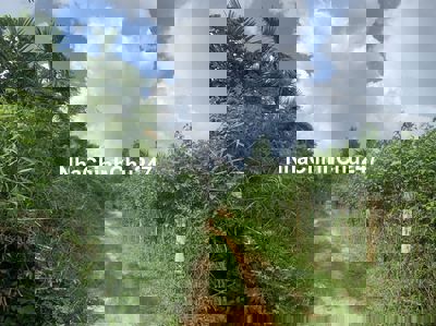 Chính chủ cần tiền bán gấp lô đất TP.Buôn Mê Thuột, gần ngay hồ Eakao