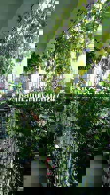 Chính chủ cần bán gấp căn hộ Sunrise Riverside 83m2 3pn