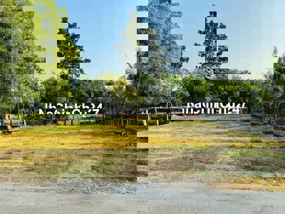 Đất Củ Chi 489m2 bán gấp 1ty350 sổ riêng chính chủ có thương lượng