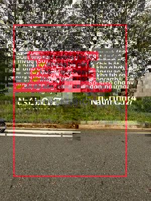 BÁN ĐẤT CHÍNH CHỦ ĐƯỜNG N1 ,MỸ PHƯỚC 4, THỚI HÒA, BẾN CÁT, BÌNH DƯƠNG